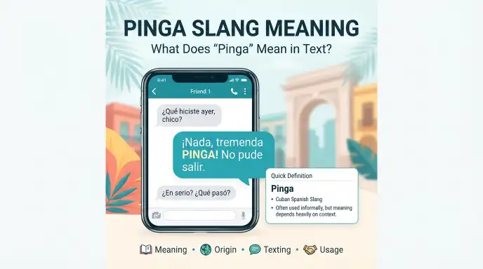 pinga slang meaning