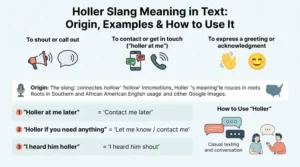 holler slang